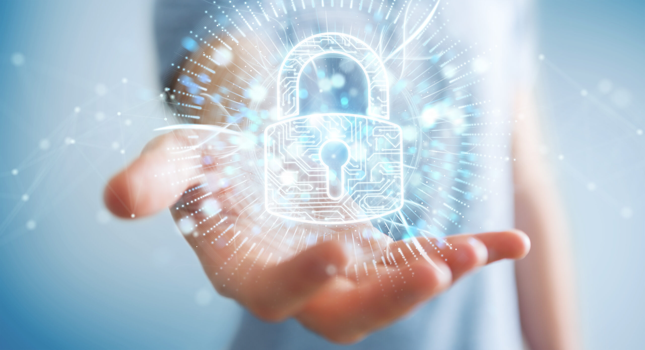 Vulnerability report - Airbus Protect