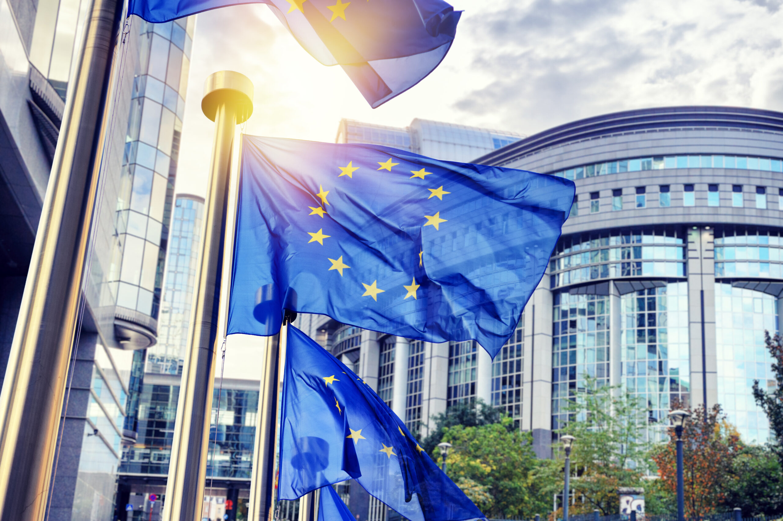 Everything you need to know about NIS 2 Directive