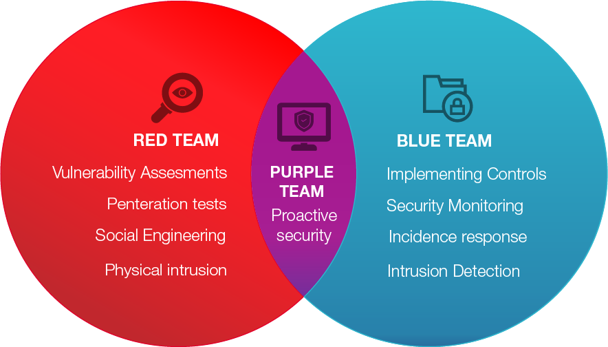 purple teaming visuel